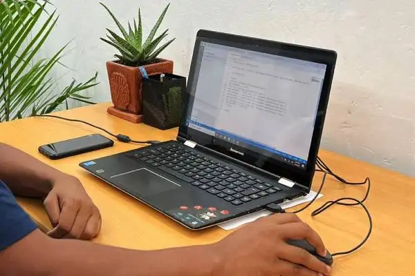 Web Development